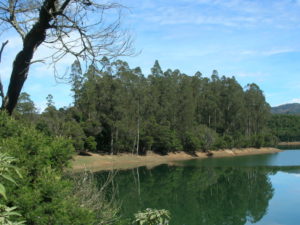 Emerald_Lake_Ooty_-_panoramio_1-1024×768